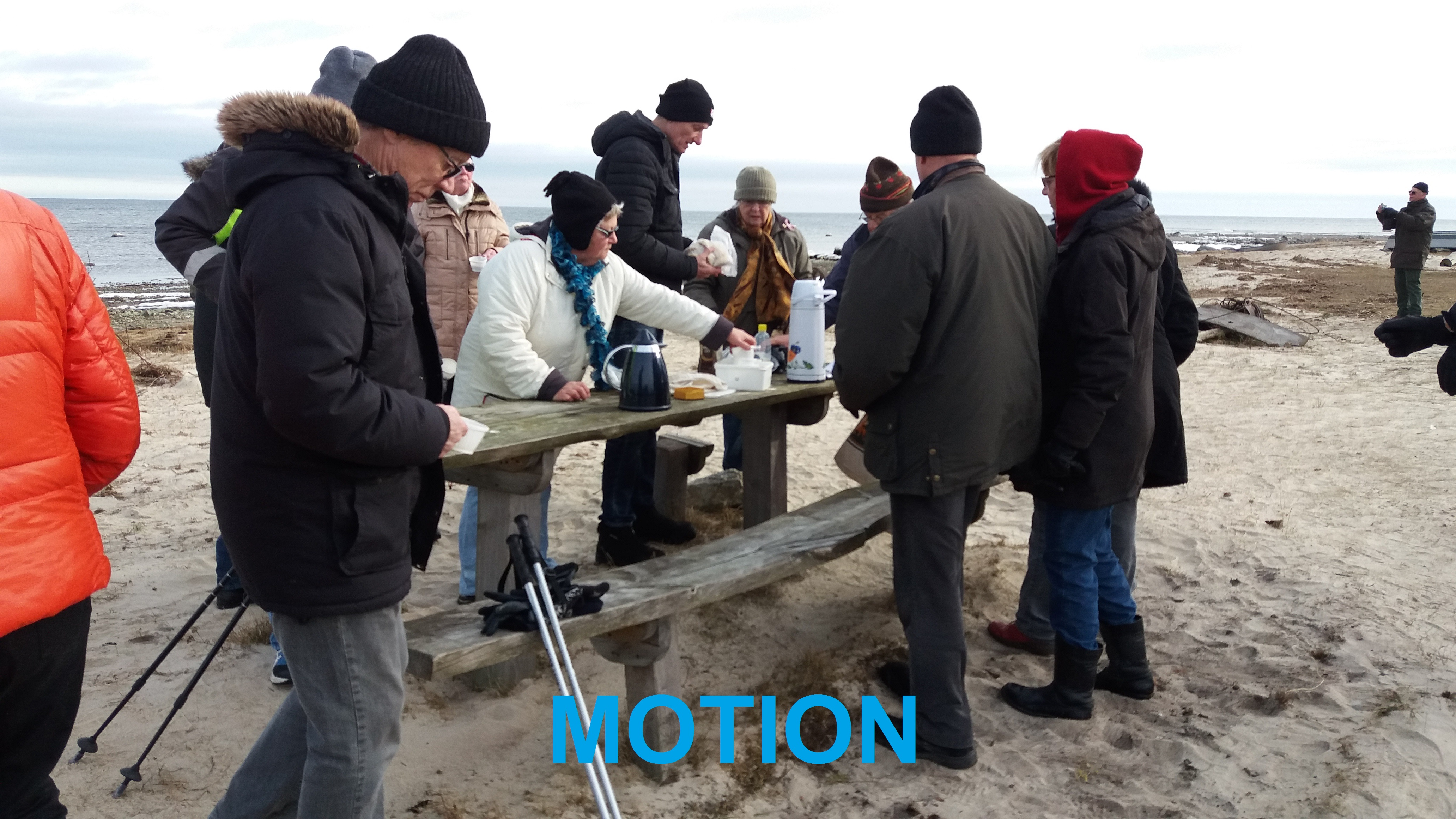 Sektioner